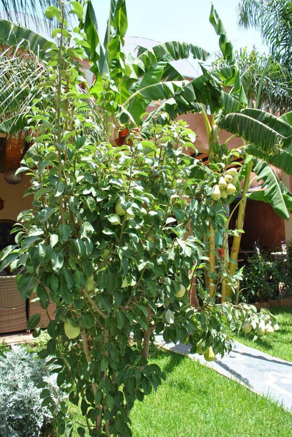 Auberge Kasbah Darla Tahannaout Exterior foto